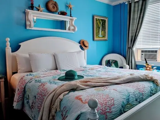 Premium Oda, 1 En Büyük (King) Boy Yatak, Sigara İçilmez (Room 207)