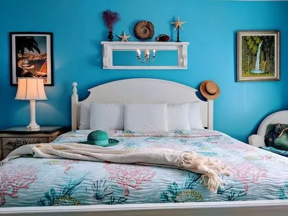 Premium Oda, 1 En Büyük (King) Boy Yatak, Sigara İçilmez (Room 207)