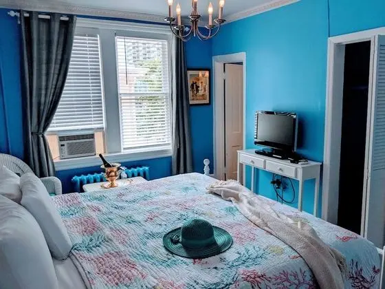 Premium Oda, 1 En Büyük (King) Boy Yatak, Sigara İçilmez (Room 207)