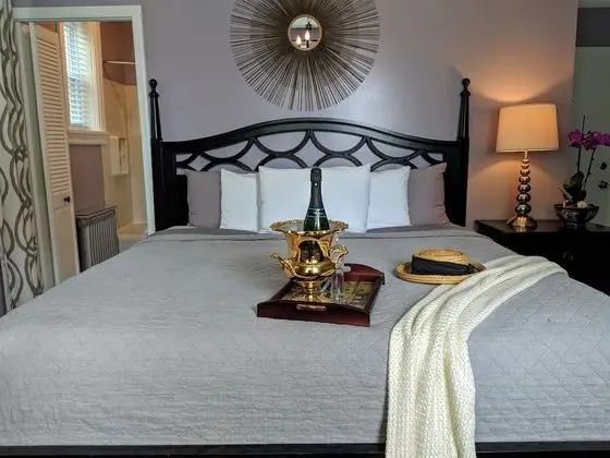 Premium Oda, 1 En Büyük (King) Boy Yatak, Sigara İçilmez (Room 207)
