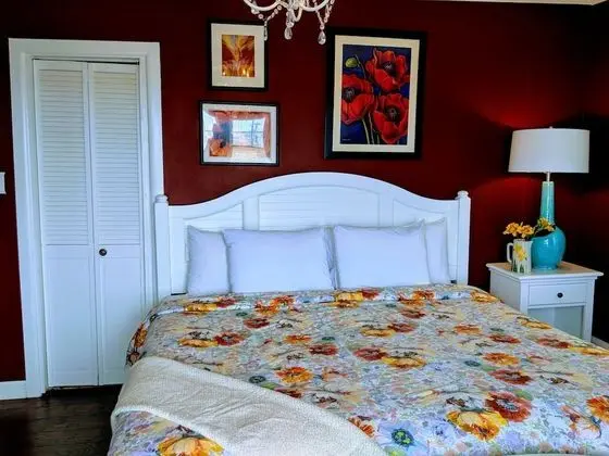 Premium Oda, 1 En Büyük (King) Boy Yatak, Sigara İçilmez (Room 207)