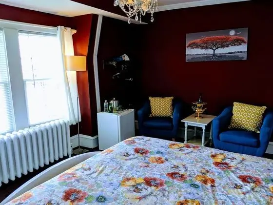 Premium Oda, 1 En Büyük (King) Boy Yatak, Sigara İçilmez (Room 207)