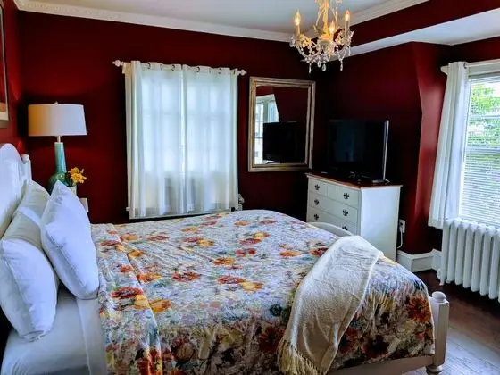 Premium Oda, 1 En Büyük (King) Boy Yatak, Sigara İçilmez (Room 207)