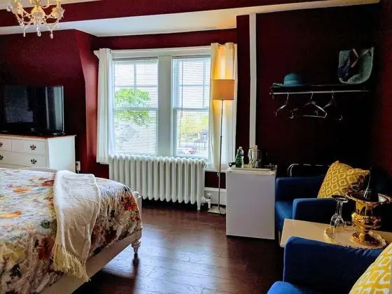 Premium Oda, 1 En Büyük (King) Boy Yatak, Sigara İçilmez (Room 207)