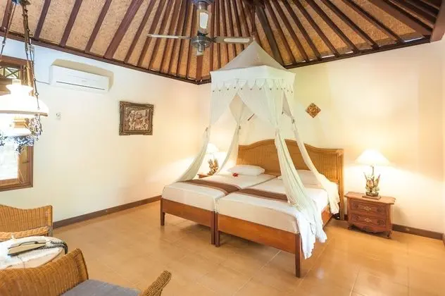 Superior Tek Büyük veya İki Ayrı Yataklı Oda, Bahçe Manzaralı