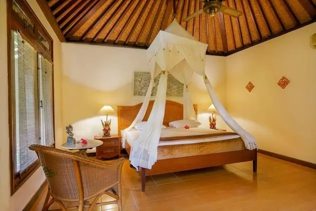 Superior Tek Büyük veya İki Ayrı Yataklı Oda, Bahçe Manzaralı