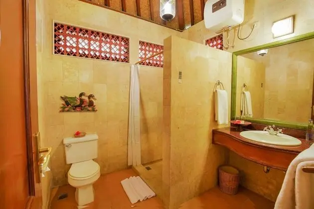 Superior Tek Büyük veya İki Ayrı Yataklı Oda, Bahçe Manzaralı