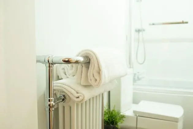 Tek Büyük Yataklı Oda, Banyolu/Duşlu, Bahçe Manzaralı (Room 2)