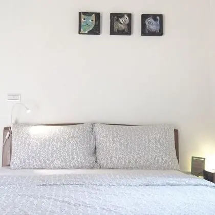 Comfort Tek Büyük Yataklı Oda, 1 Yatak Odası