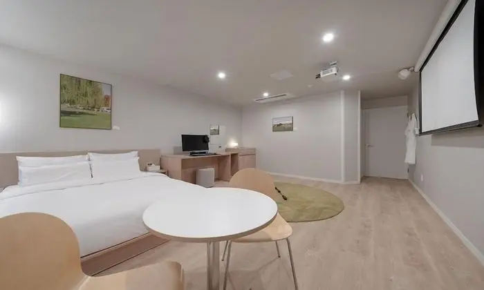 Deluxe Tek Büyük Yataklı Oda (Shower booth)