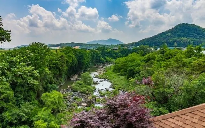 Oda (Lily (Ondol Room))