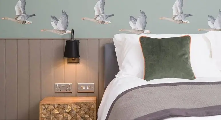 Basic Tek Büyük Yataklı Oda