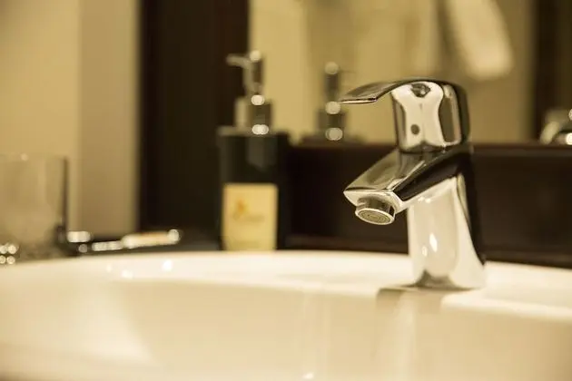 Deluxe İki Ayrı Yataklı Oda, 2 Tek Kişilik Yatak, Dağ Manzaralı, Dağ Yamacı