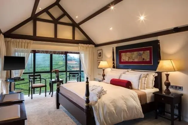 Deluxe Tek Büyük Yataklı Oda, 1 En Büyük (King) Boy Yatak, Dağ Manzaralı