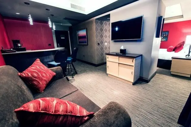 Süit, 1 En Büyük (King) Boy Yatak (Executive King Suite)