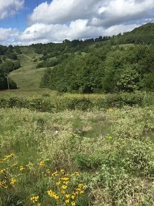 Kulübe, 2 Yatak Odası, Dağ Manzaralı