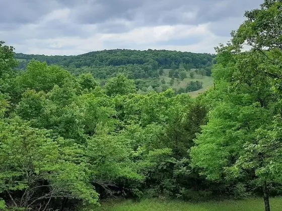 Kulübe, 2 Yatak Odası, Dağ Manzaralı