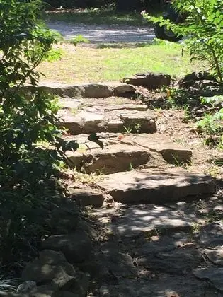 Kulübe