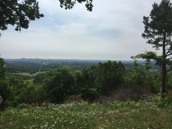 Panoramic Kulübe