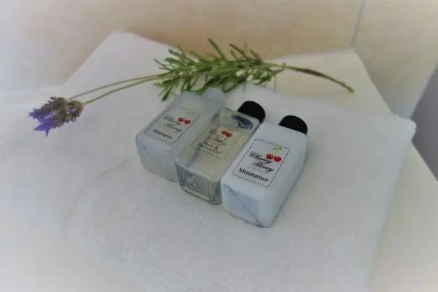 Deluxe Apart Daire, 1 Yatak Odası (Lavender)