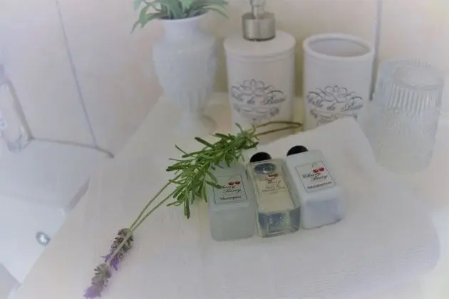 Deluxe Apart Daire, 1 Yatak Odası (Lavender)