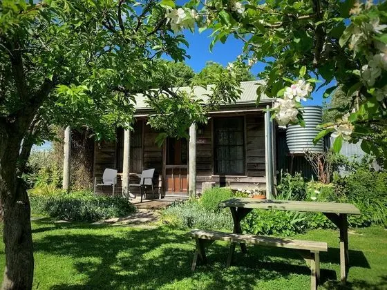 Traditional Stüdyo Süit, 1 Çift Kişilik Yatak, Bahçe Manzaralı