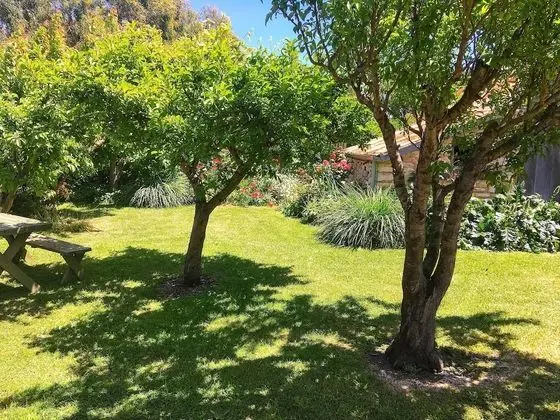 Traditional Stüdyo Süit, 1 Çift Kişilik Yatak, Bahçe Manzaralı