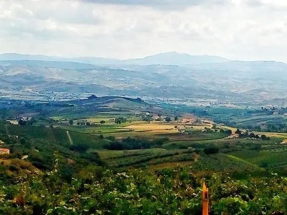 Deluxe Tek Büyük Yataklı Oda, Balkon