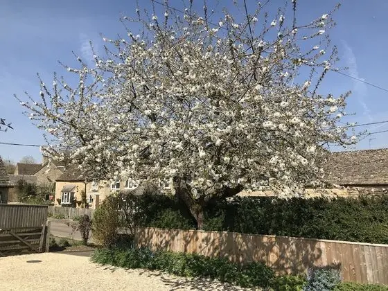 Deluxe Kır Evi, Banyolu/Duşlu, Bahçe Manzaralı