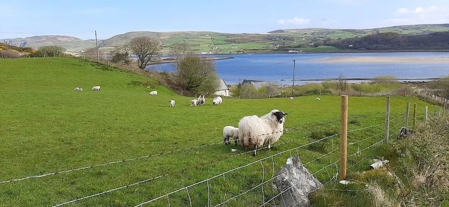 Kır Evi, 1 Büyük (Queen) Boy Yatak