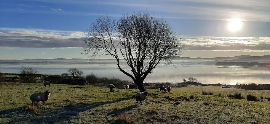 Kır Evi, 1 Büyük (Queen) Boy Yatak