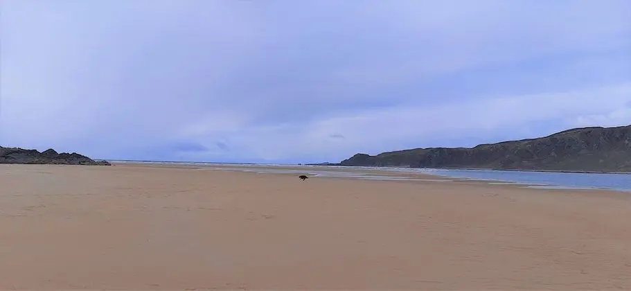 Kır Evi, 1 Büyük (Queen) Boy Yatak