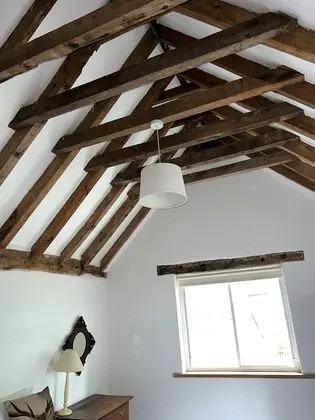 Traditional Ev