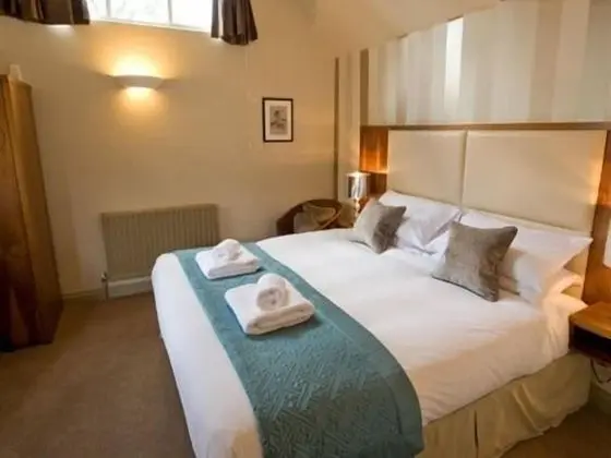 Tek Büyük Yataklı Oda, Banyolu/Duşlu ((Cherry))