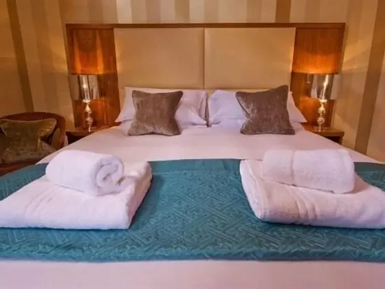 Tek Büyük Yataklı Oda, Banyolu/Duşlu ((Pear))