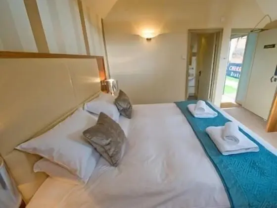 Tek Büyük Yataklı Oda, Banyolu/Duşlu ((Plum))