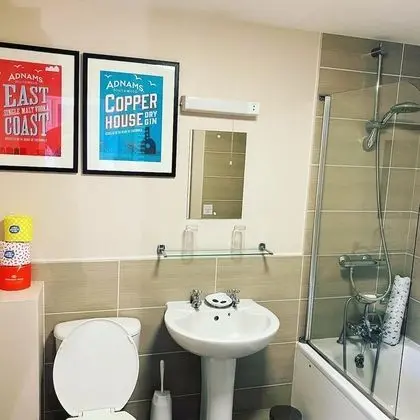 Tek Büyük Yataklı Oda, Banyolu/Duşlu (The Explorer Room)