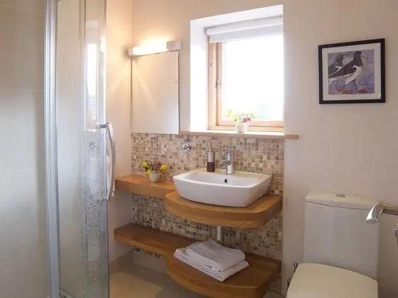 Tek Büyük Yataklı Oda, Banyolu/Duşlu (The Front Room)
