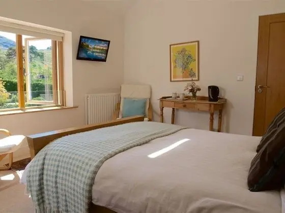 Tek Büyük Yataklı Oda, Banyolu/Duşlu (The Garden Room)