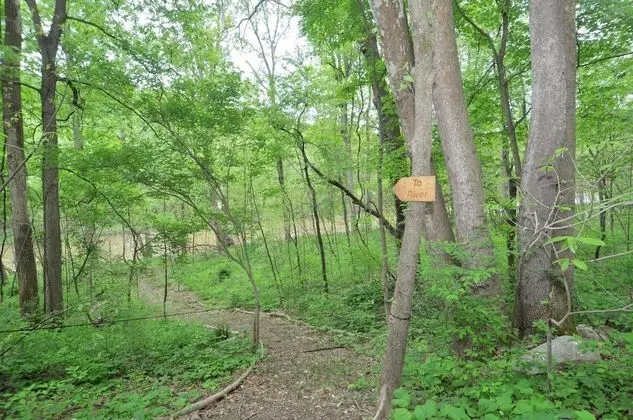 Ev, Birden Çok Yatak (Chesnutt Cabin on the Cacapon River)