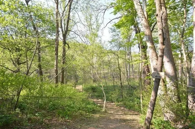 Ev, Birden Çok Yatak (Chesnutt Cabin on the Cacapon River)