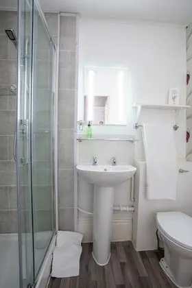 Deluxe Tek Büyük Yataklı Oda (Superior Kingsize)