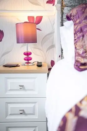 Deluxe Tek Büyük Yataklı Oda (Superior Kingsize)