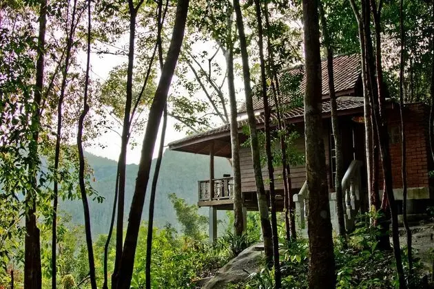 Twin Room Wooden Cottage
