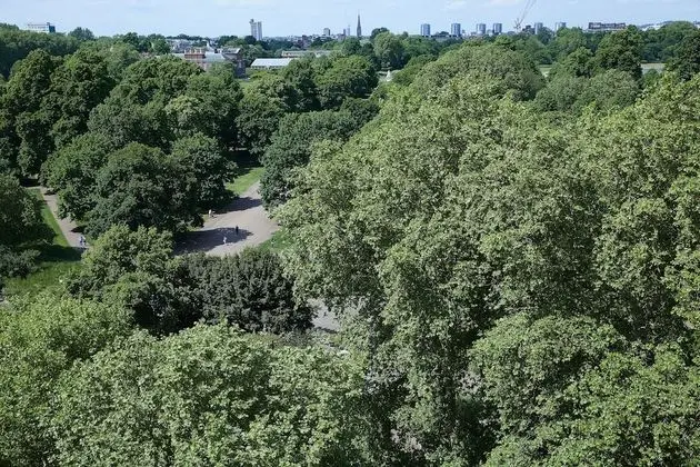 Luxury Apart Daire, 2 Yatak Odası (Hyde Park View)