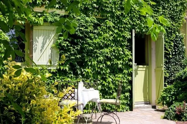 Süit, Teras, Bahçe Manzaralı