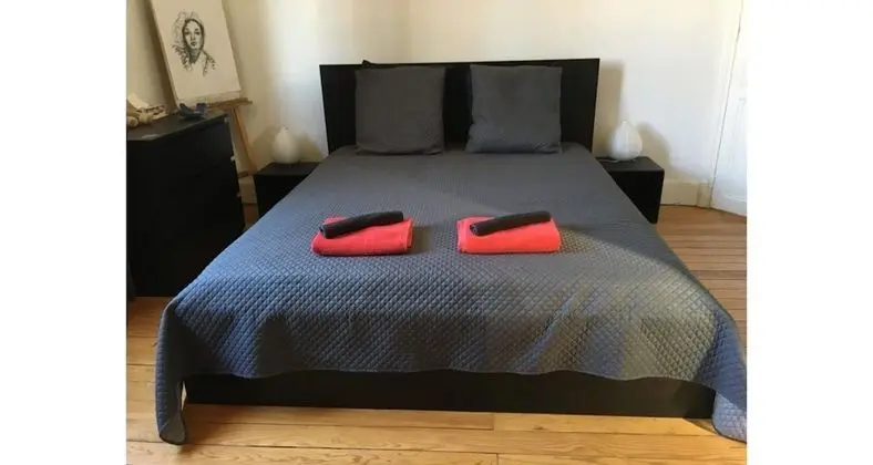 Comfort Tek Büyük veya İki Ayrı Yataklı Oda, Banyolu/Duşlu, Bahçe Manzaralı (Chambre grise)