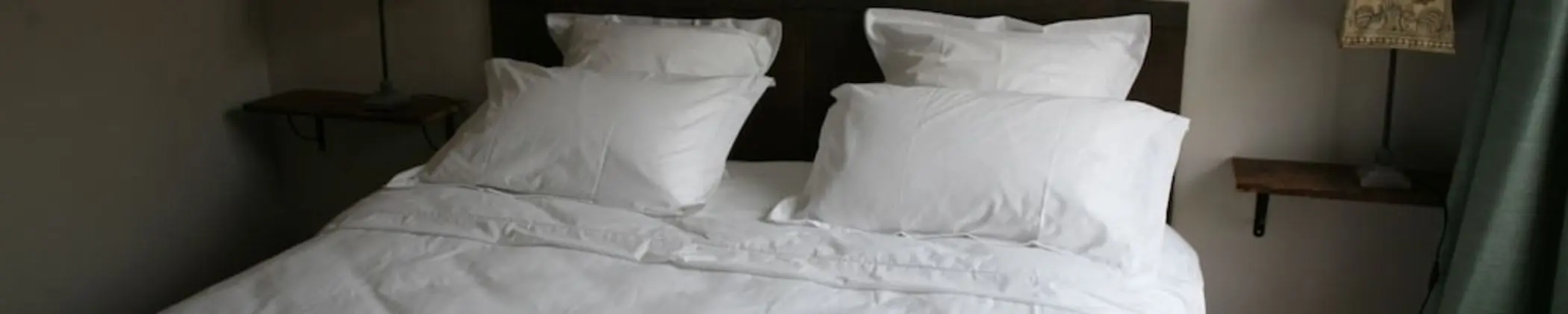 Comfort Tek Büyük Yataklı Oda, Engellilere Uygun (L'Ami Corot)