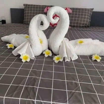 Family Süit