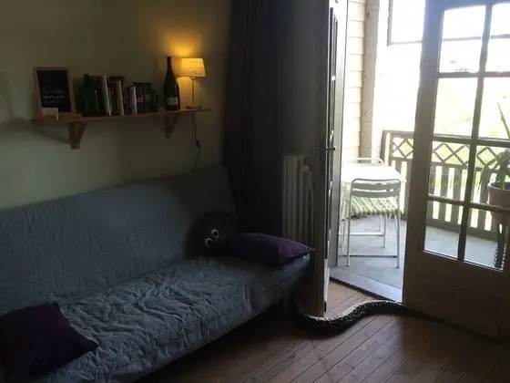 Deluxe Tek Büyük Yataklı Oda, 1 Büyük (Queen) Boy Yatak